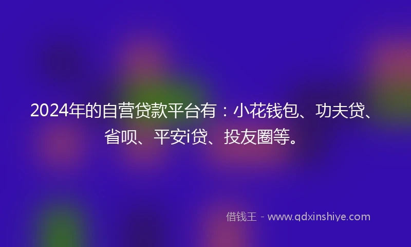 2024年的自营贷款平台有：小花钱包、功夫贷、省呗、平安i贷、投友圈等。