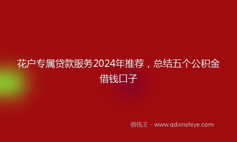 花户专属贷款服务2024年推荐，总结五个公积金借钱口子