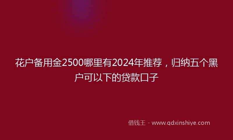 花户备用金2500哪里有2024年推荐，归纳五个黑户可以下的贷款口子