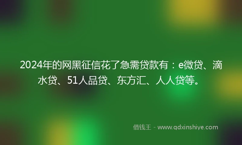 2024年的网黑征信花了急需贷款有：e微贷、滴水贷、51人品贷、东方汇、人人贷等。