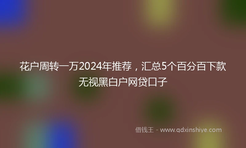 花户周转一万2024年推荐，汇总5个百分百下款无视黑白户网贷口子