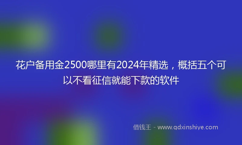 花户备用金2500哪里有2024年精选，概括五个可以不看征信就能下款的软件