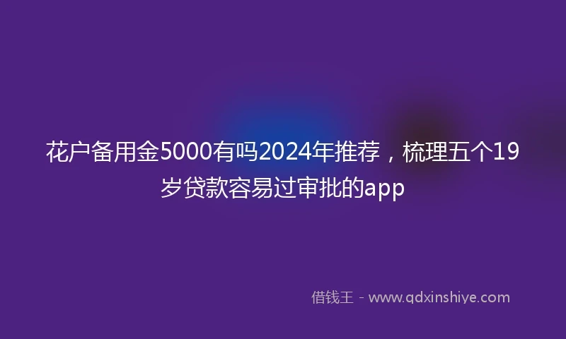 花户备用金5000有吗2024年推荐，梳理五个19岁贷款容易过审批的app
