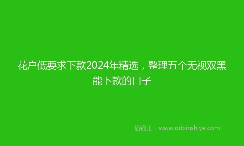 花户低要求下款2024年精选，整理五个无视双黑能下款的口子