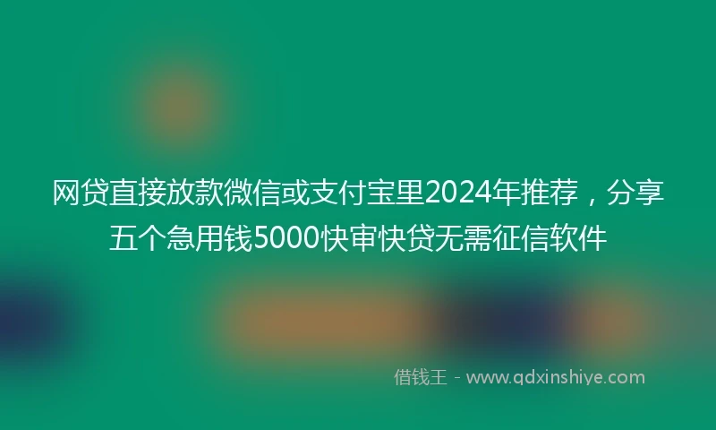 网贷直接放款微信或支付宝里2024年推荐，分享五个急用钱5000快审快贷无需征信软件