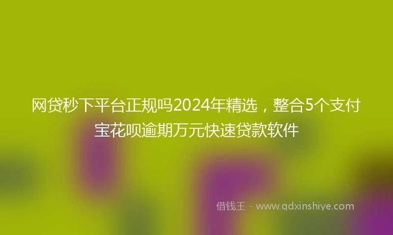 网贷秒下平台正规吗2024年精选，整合5个支付宝花呗逾期万元快速贷款软件