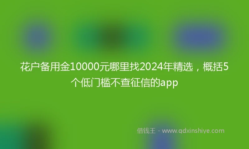 花户备用金10000元哪里找2024年精选，概括5个低门槛不查征信的app