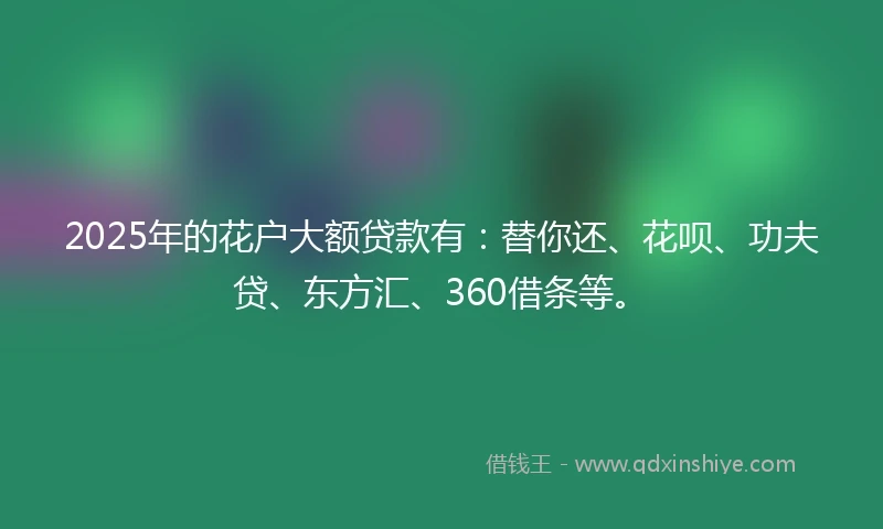 2025年的花户大额贷款有：替你还、花呗、功夫贷、东方汇、360借条等。