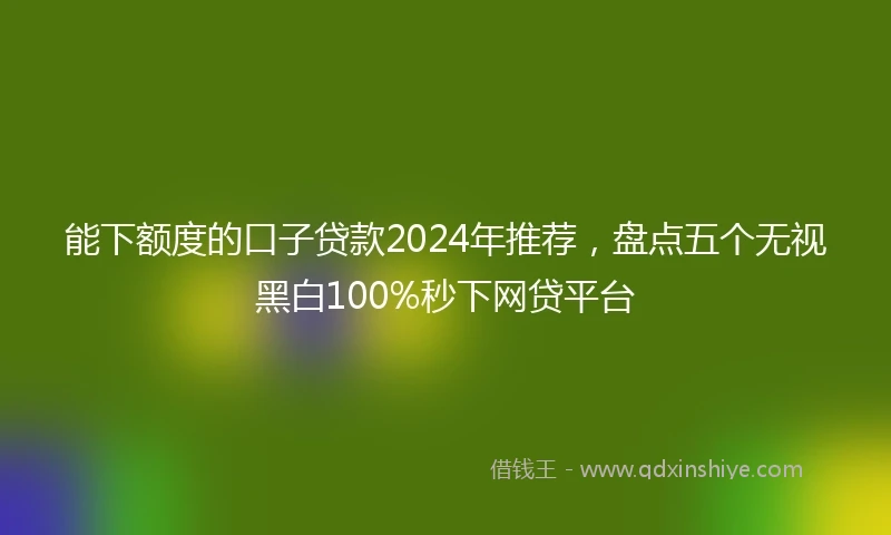 能下额度的口子贷款2024年推荐，盘点五个无视黑白100%秒下网贷平台