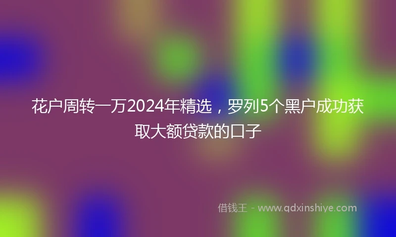 花户周转一万2024年精选，罗列5个黑户成功获取大额贷款的口子