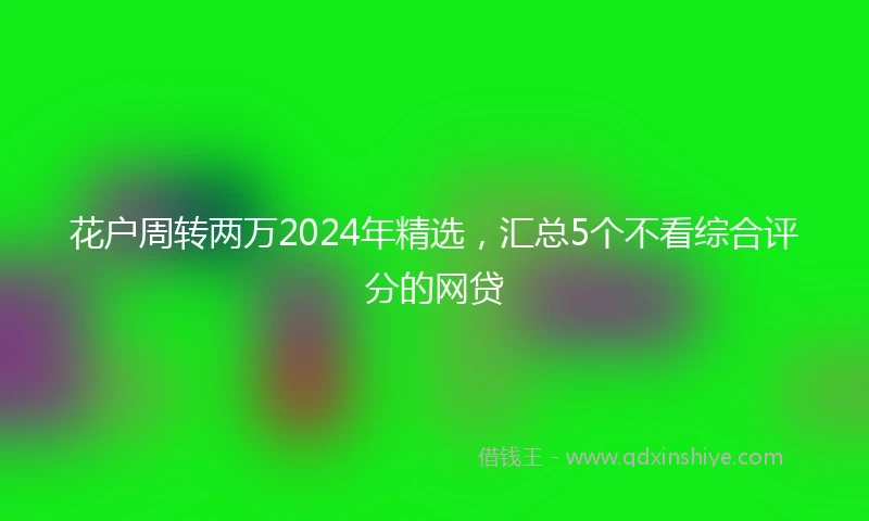 花户周转两万2024年精选，汇总5个不看综合评分的网贷