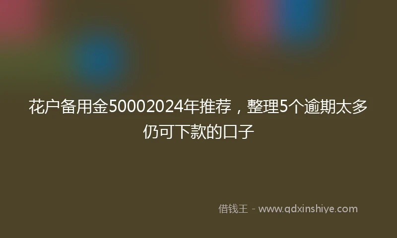 花户备用金50002024年推荐，整理5个逾期太多仍可下款的口子
