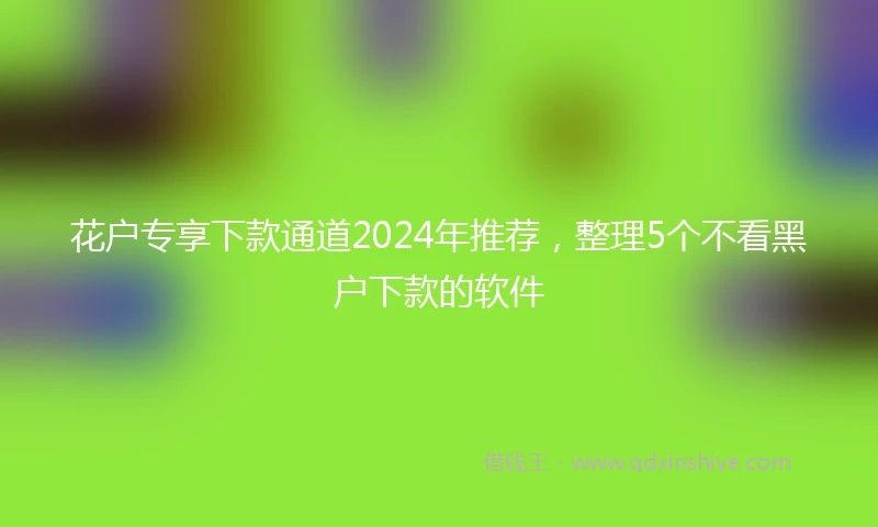 花户专享下款通道2024年推荐，整理5个不看黑户下款的软件