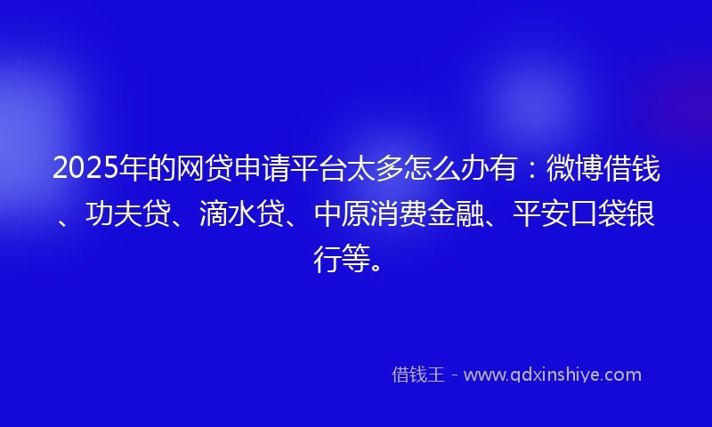 2025年的网贷申请平台太多怎么办有：微博借钱、功夫贷、滴水贷、中原消费金融、平安口袋银行等。