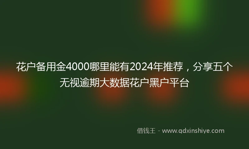 花户备用金4000哪里能有2024年推荐，分享五个无视逾期大数据花户黑户平台