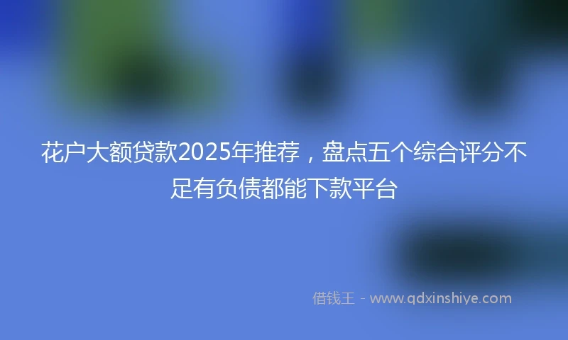 花户大额贷款2025年推荐，盘点五个综合评分不足有负债都能下款平台