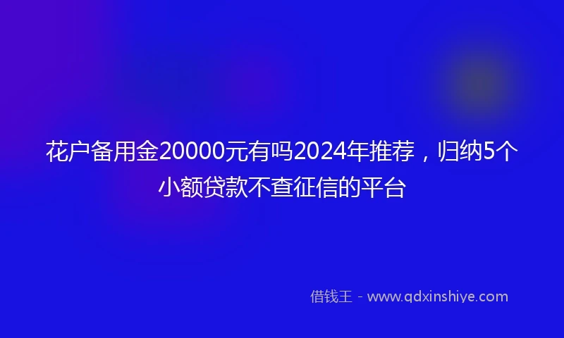 花户备用金20000元有吗2024年推荐,归纳5个小额贷款不查征信的平台