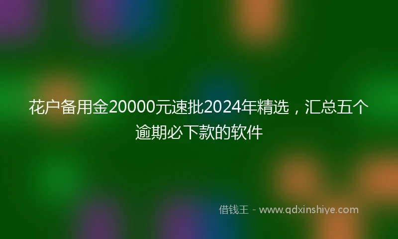 花户备用金20000元速批2024年精选，汇总五个逾期必下款的软件