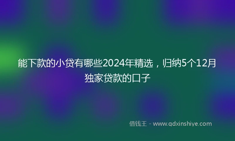 能下款的小贷有哪些2024年精选，归纳5个12月独家贷款的口子