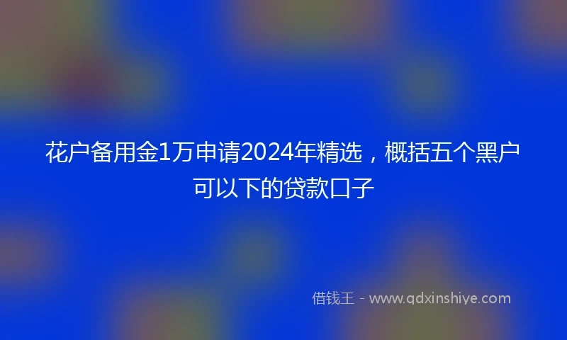 花户备用金1万申请2024年精选，概括五个黑户可以下的贷款口子