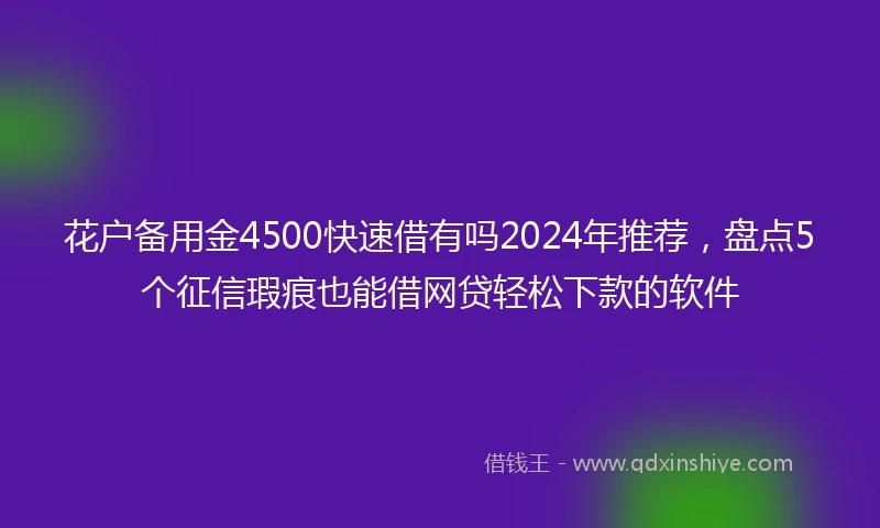 花户备用金4500快速借有吗2024年推荐，盘点5个征信瑕疵也能借网贷轻松下款的软件