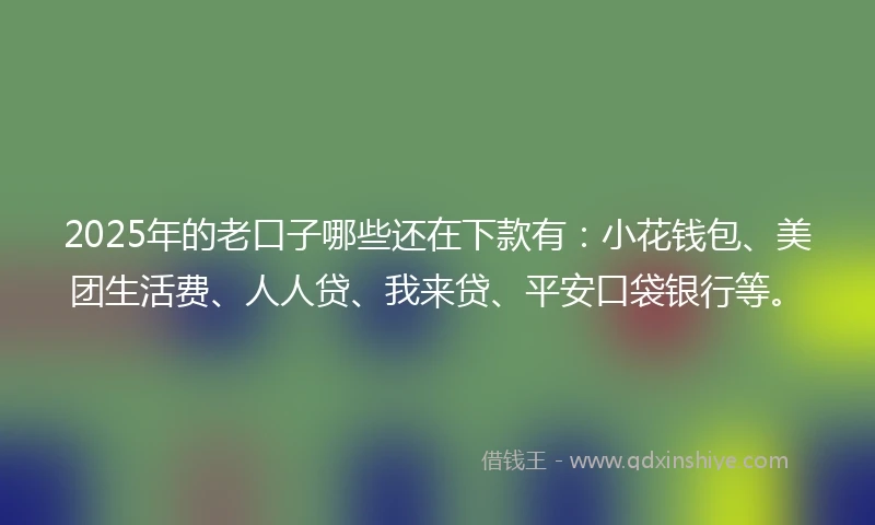 2025年的老口子哪些还在下款有：小花钱包、美团生活费、人人贷、我来贷、平安口袋银行等。