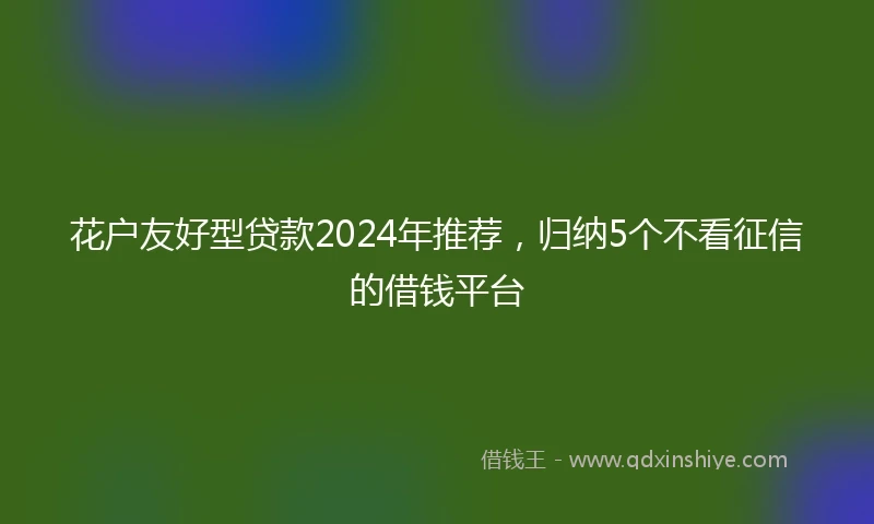 花户友好型贷款2024年推荐，归纳5个不看征信的借钱平台