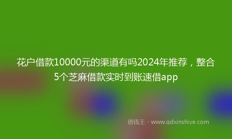 花户借款10000元的渠道有吗2024年推荐，整合5个芝麻借款实时到账速借app