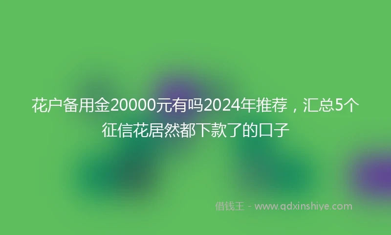 花户备用金20000元有吗2024年推荐，汇总5个征信花居然都下款了的口子