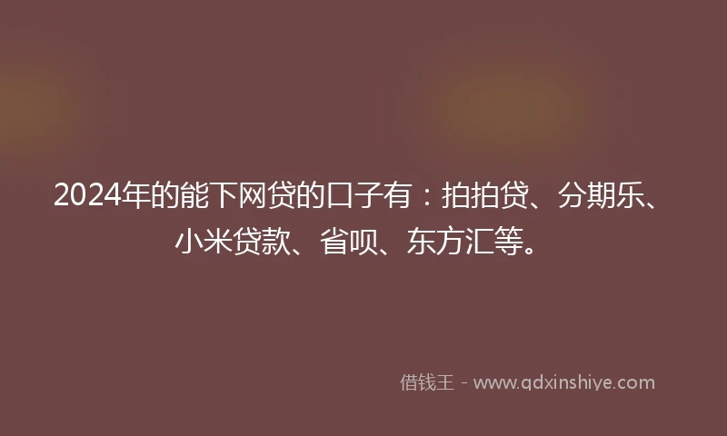 2024年的能下网贷的口子有：拍拍贷、分期乐、小米贷款、省呗、东方汇等。