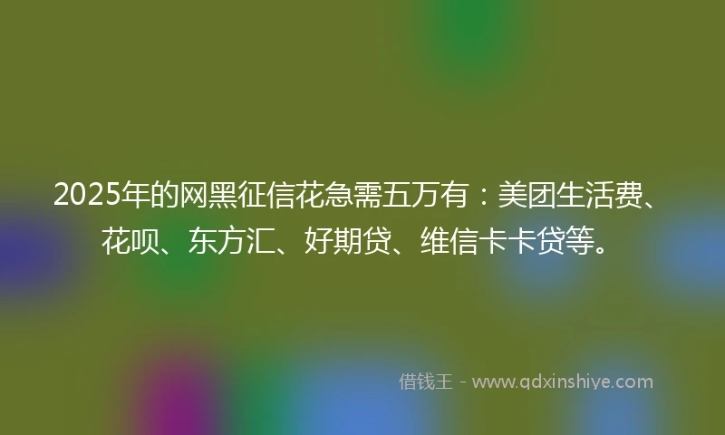 2025年的网黑征信花急需五万有：美团生活费、花呗、东方汇、好期贷、维信卡卡贷等。
