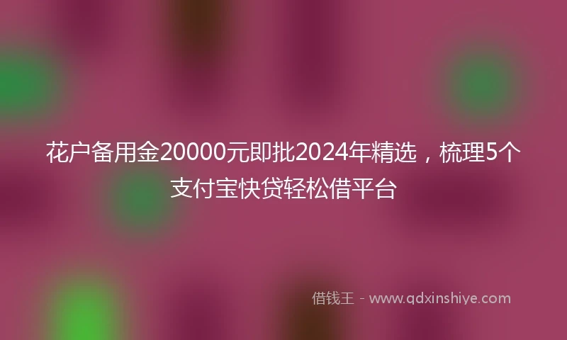 花户备用金20000元即批2024年精选，梳理5个支付宝快贷轻松借平台