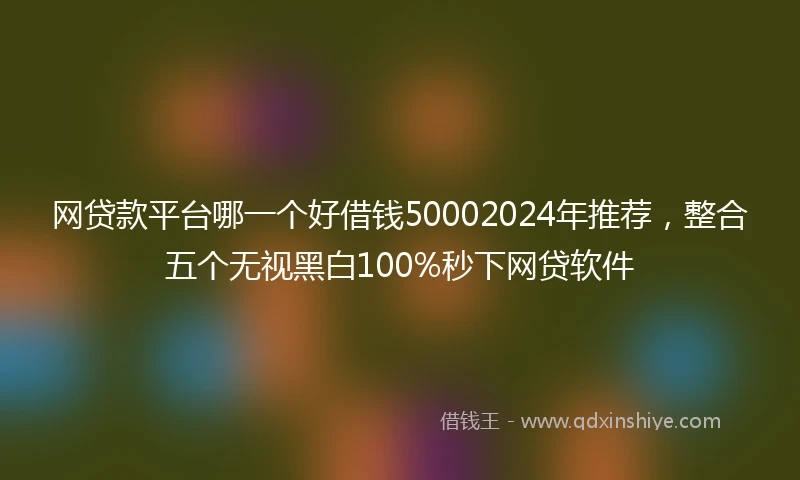 网贷款平台哪一个好借钱50002024年推荐，整合五个无视黑白100%秒下网贷软件