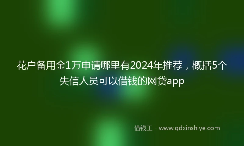 花户备用金1万申请哪里有2024年推荐，概括5个失信人员可以借钱的网贷app