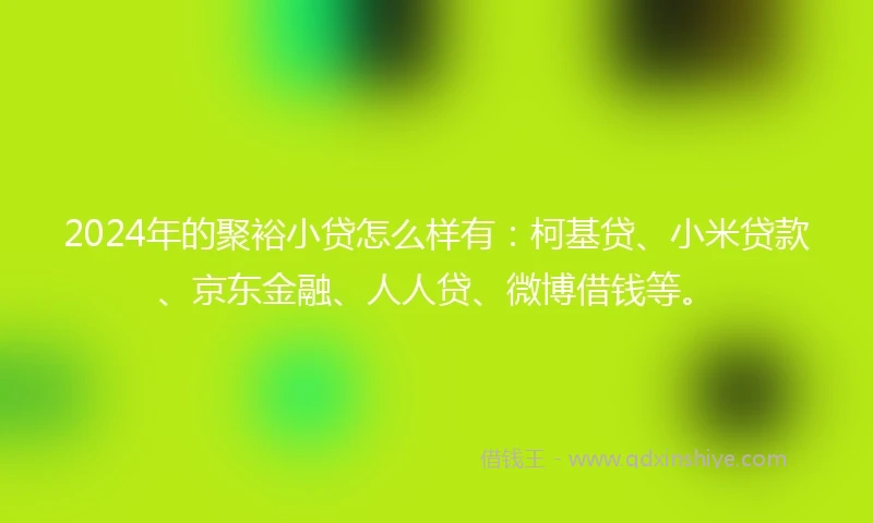 2024年的聚裕小贷怎么样有：柯基贷、小米贷款、京东金融、人人贷、微博借钱等。