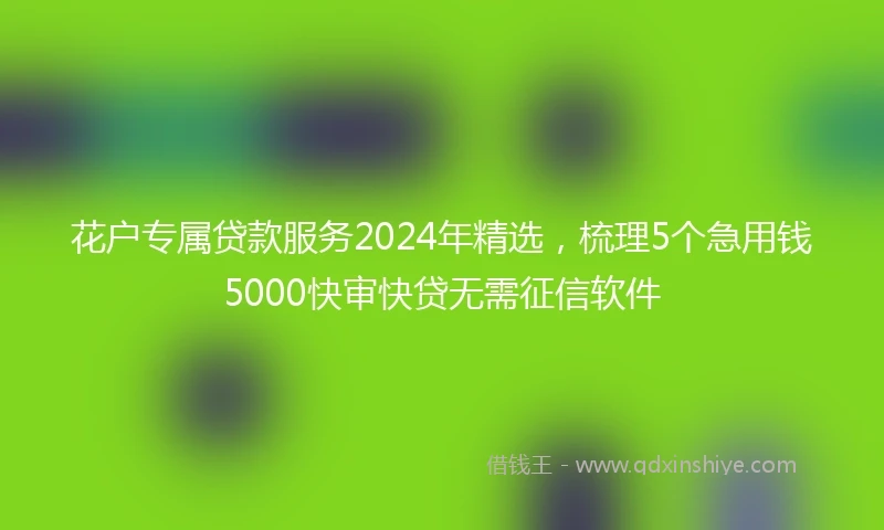 花户专属贷款服务2024年精选，梳理5个急用钱5000快审快贷无需征信软件