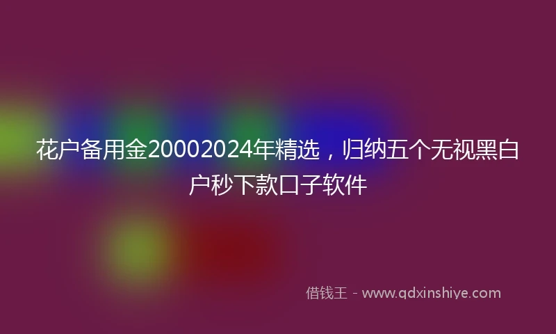 花户备用金20002024年精选，归纳五个无视黑白户秒下款口子软件