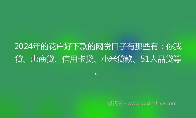 2024年的花户好下款的网贷口子有那些有：你我贷、惠商贷、信用卡贷、小米贷款、51人品贷等。