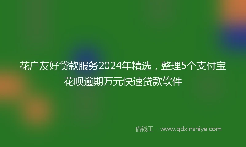 花户友好贷款服务2024年精选，整理5个支付宝花呗逾期万元快速贷款软件