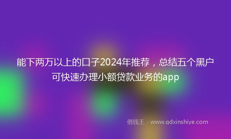 能下两万以上的口子2024年推荐，总结五个黑户可快速办理小额贷款业务的app