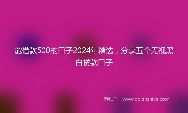 能借款500的口子2024年精选，分享五个无视黑白贷款口子