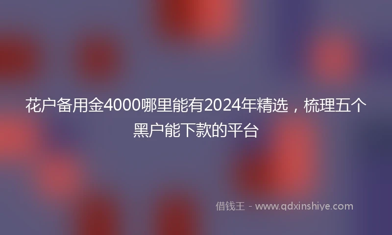 花户备用金4000哪里能有2024年精选，梳理五个黑户能下款的平台