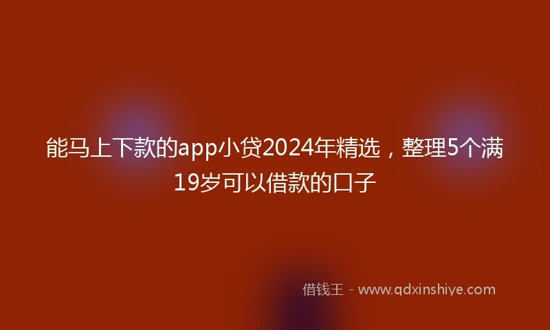 能马上下款的app小贷2024年精选，整理5个满19岁可以借款的口子