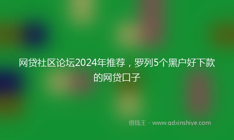 网贷社区论坛2024年推荐，罗列5个黑户好下款的网贷口子