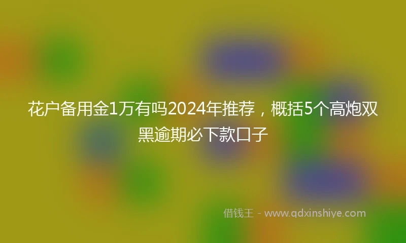 花户备用金1万有吗2024年推荐，概括5个高炮双黑逾期必下款口子