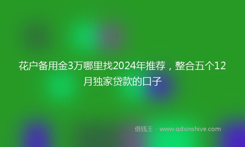 花户备用金3万哪里找2024年推荐，整合五个12月独家贷款的口子