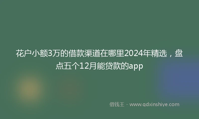 花户小额3万的借款渠道在哪里2024年精选，盘点五个12月能贷款的app