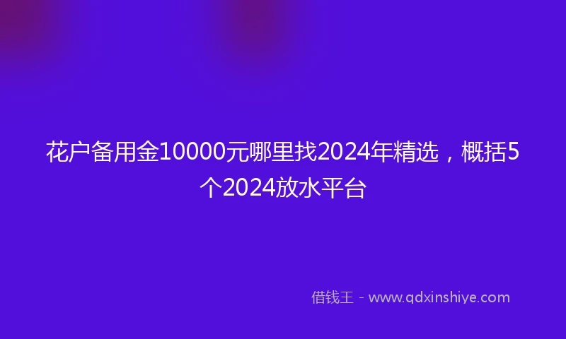 花户备用金10000元哪里找2024年精选，概括5个2024放水平台