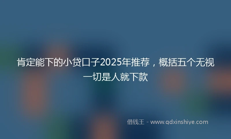 肯定能下的小贷口子2025年推荐，概括五个无视一切是人就下款
