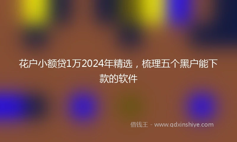 花户小额贷1万2024年精选，梳理五个黑户能下款的软件